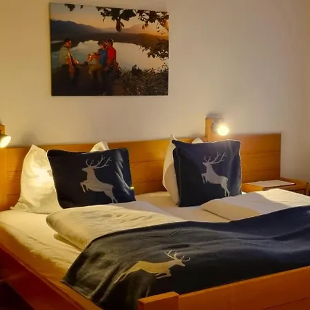 Baumgartnerhof Hotel 3*