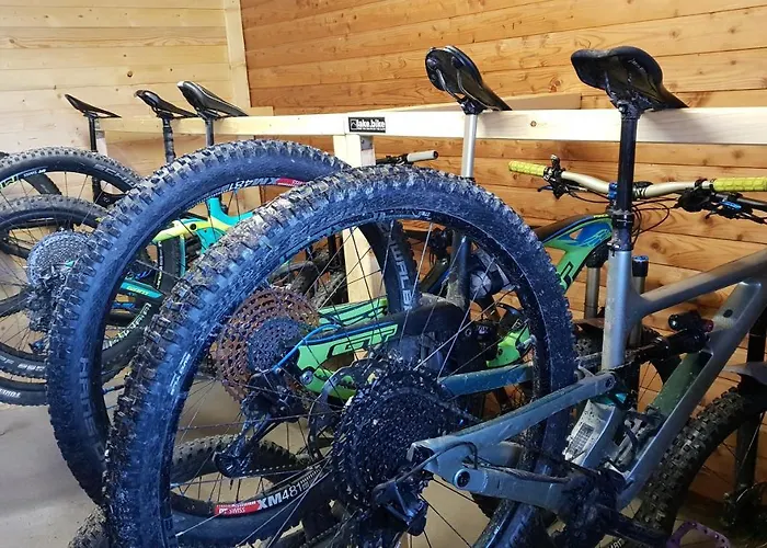 Baumgartnerhof מלון 3*