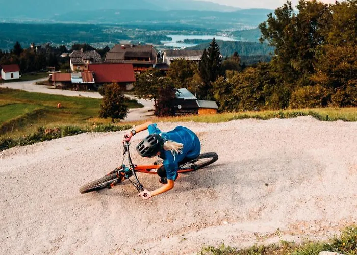 Baumgartnerhof מלון